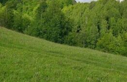 Teren intravilan de vânzare, 4552 mp, comuna Vidra