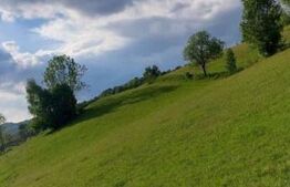 Teren intravilan de vânzare, 2500 mp, comuna Vidra