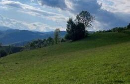 Teren intravilan 4552 mp, Ponorel, comuna Vidra