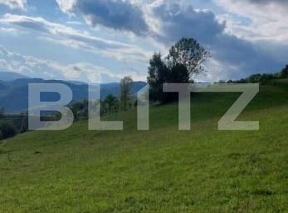 Teren de vânzare Ponorel - 184234TV | BLITZ Alba Iulia | Poza3