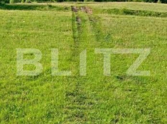 Teren de vânzare Ponorel - 184234TV | BLITZ Alba Iulia | Poza5