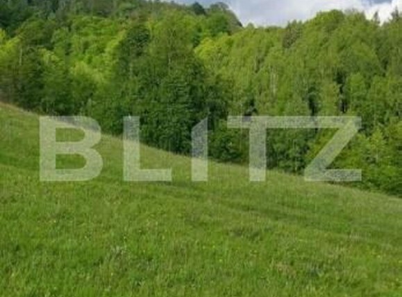 Teren de vânzare Ponorel - 184234TV | BLITZ Alba Iulia | Poza1