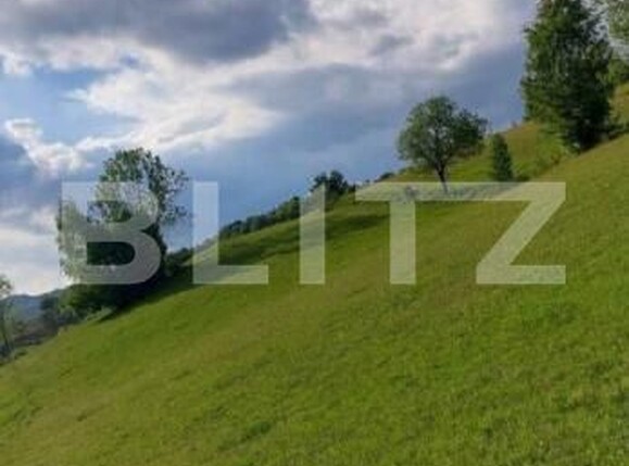 Teren de vânzare Ponorel - 184234TV | BLITZ Alba Iulia | Poza2