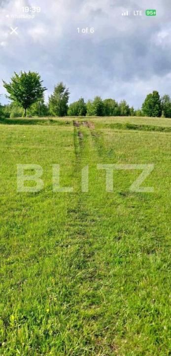 Teren de vânzare Ponorel - 184234TV | BLITZ Alba Iulia | Poza5