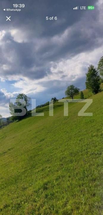 Teren de vânzare Ponorel - 184234TV | BLITZ Alba Iulia | Poza2