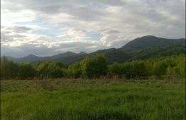 Teren extravilan 77.700 mp ideal investiție sau dezvoltare proiecte, Almașu Mare