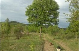 Teren extravilan 77.700 mp ideal investiție sau dezvoltare proiecte, Almașu Mare