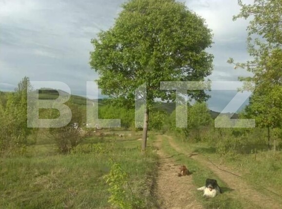 Teren de vânzare Almasu Mare - 184529TV | BLITZ Alba Iulia | Poza1
