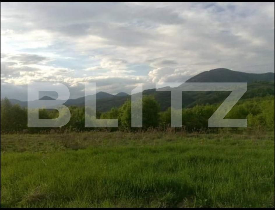 Teren de vânzare Almasu Mare - 184529TV | BLITZ Alba Iulia | Poza2