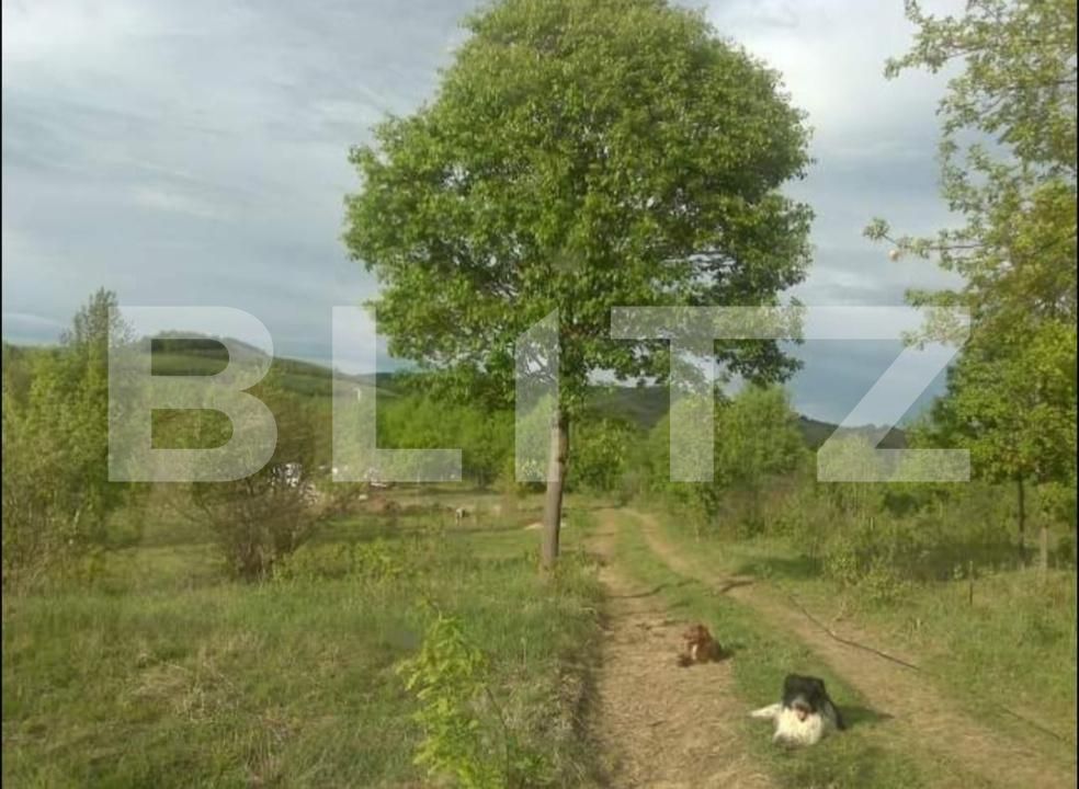 Teren de vânzare Exterior Nord - 184529TV | BLITZ Alba Iulia | Poza2