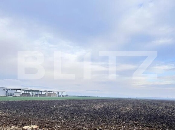 Teren de vânzare Pianu de Sus - 184603TV | BLITZ Alba Iulia | Poza1