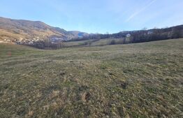 Teren intravilan de 16667 mp, Sosea de Centura, Abrud