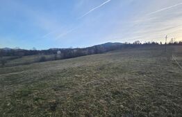 Teren intravilan de 16667 mp, Sosea de Centura, Abrud