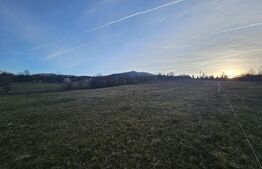 Teren intravilan de 16667 mp, Sosea de Centura, Abrud