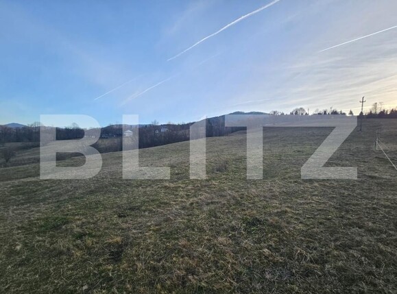 Teren de vânzare Abrud - 184731TV | BLITZ Alba Iulia | Poza5