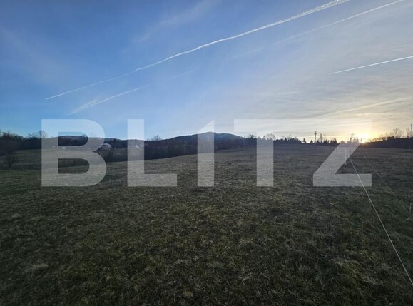 Teren de vânzare Abrud - 184731TV | BLITZ Alba Iulia | Poza4