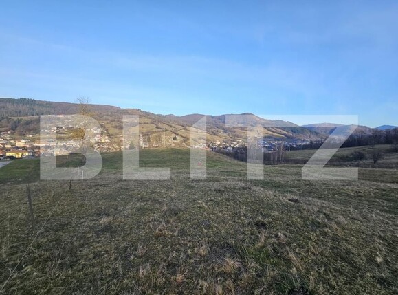 Teren de vânzare Abrud - 184731TV | BLITZ Alba Iulia | Poza1