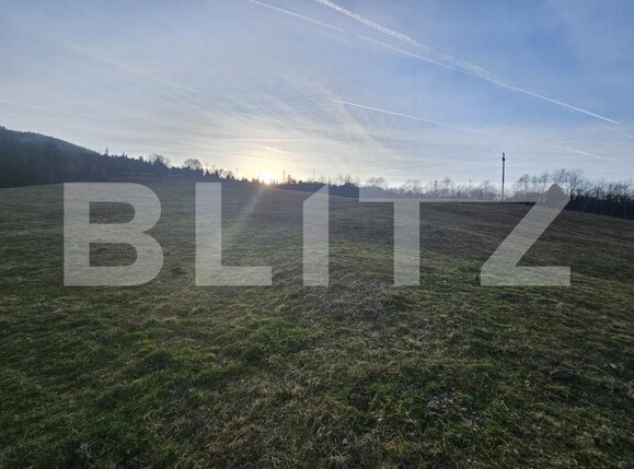 Teren de vânzare Abrud - 184731TV | BLITZ Alba Iulia | Poza5