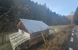 Teren intravilan 2000 mp, zonǎ montanǎ, Vâltori, Vadu Motilor