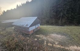 Teren intravilan 2000 mp, zonǎ montanǎ, Vâltori, Vadu Motilor