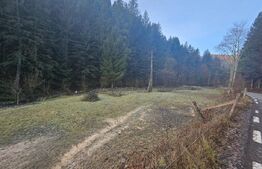 Teren intravilan 2000 mp, zonǎ montanǎ, Vâltori, Vadu Motilor