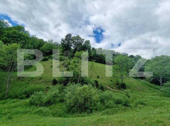 Teren de vânzare Campeni - 184740TV | BLITZ Alba Iulia | Poza4