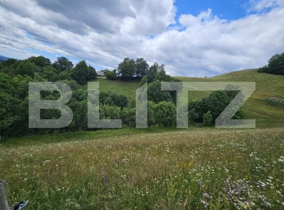 Teren de vânzare Campeni - 184740TV | BLITZ Alba Iulia | Poza3