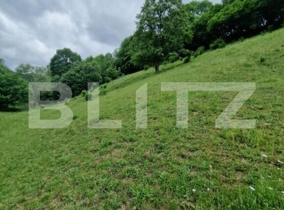 Teren de vânzare Campeni - 184740TV | BLITZ Alba Iulia | Poza7
