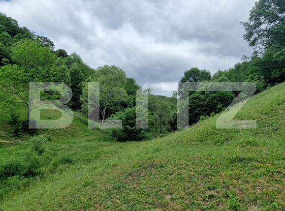 Teren de vânzare Campeni - 184740TV | BLITZ Alba Iulia | Poza6