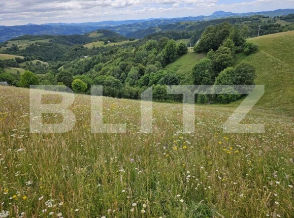 Teren de vânzare Campeni - 184740TV | BLITZ Alba Iulia | Poza1