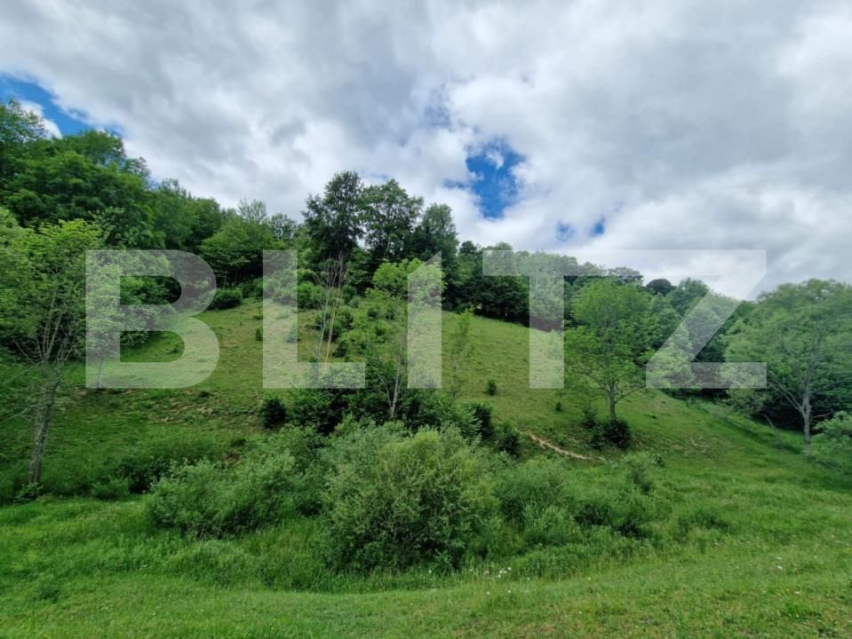 Teren de vânzare Campeni - 184740TV | BLITZ Alba Iulia | Poza4