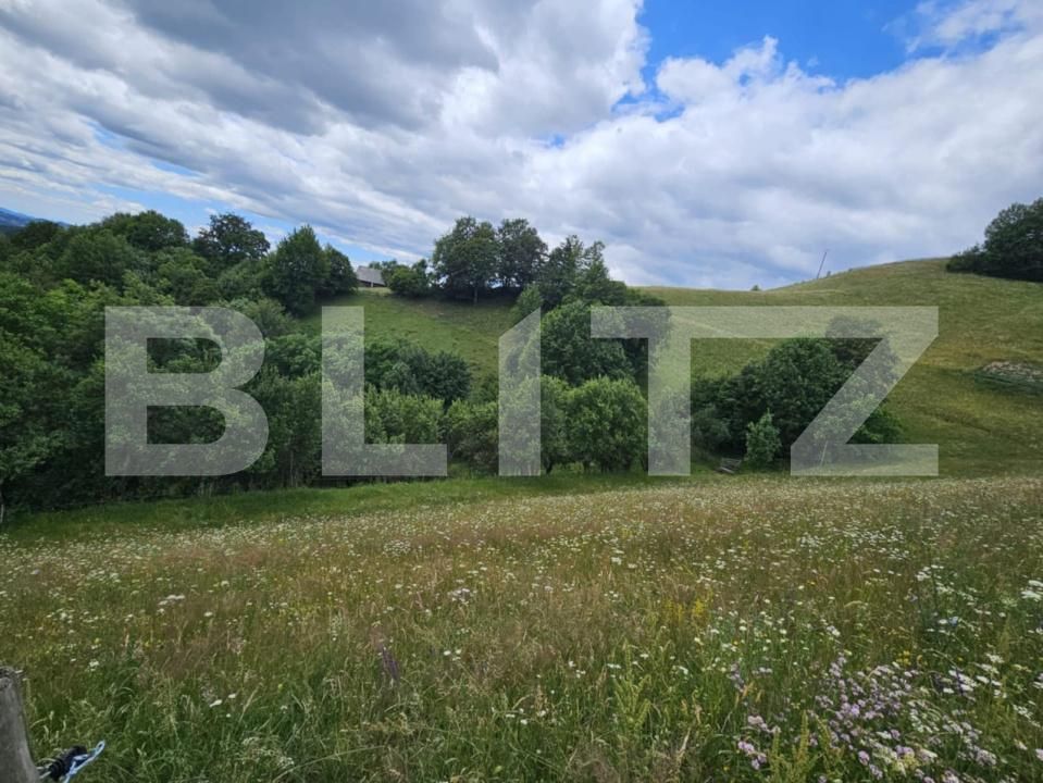 Teren de vânzare Campeni - 184740TV | BLITZ Alba Iulia | Poza3