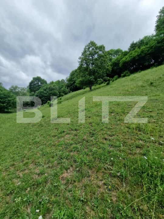Teren de vânzare Campeni - 184740TV | BLITZ Alba Iulia | Poza7
