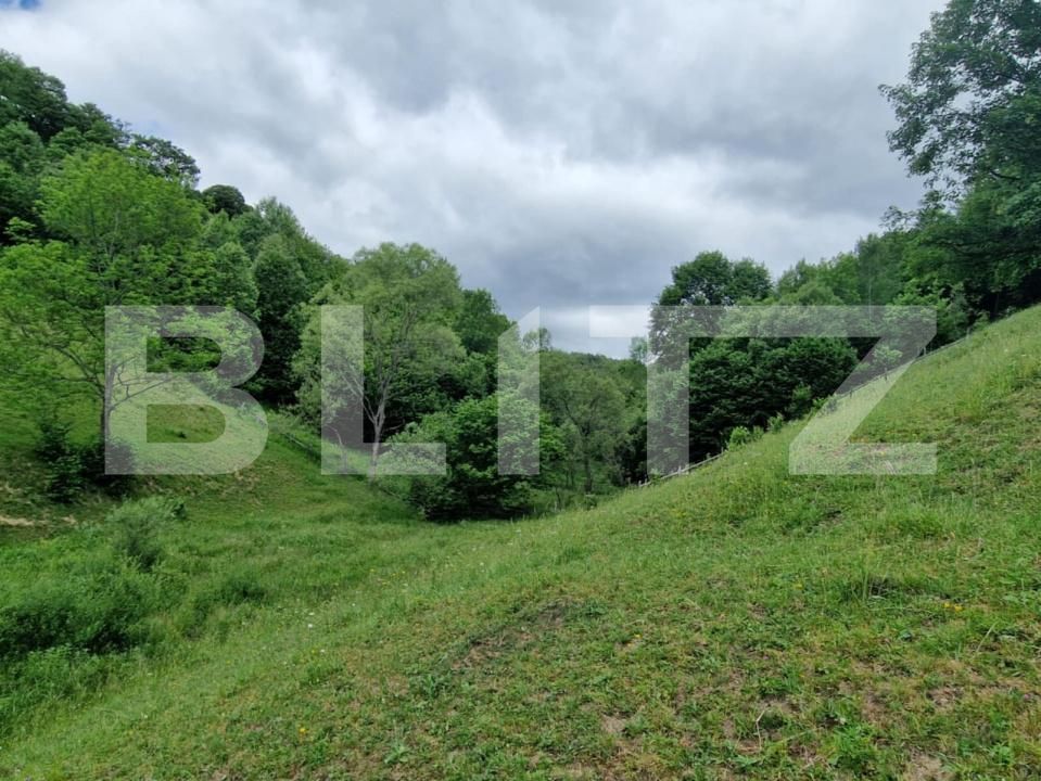 Teren de vânzare Campeni - 184740TV | BLITZ Alba Iulia | Poza6