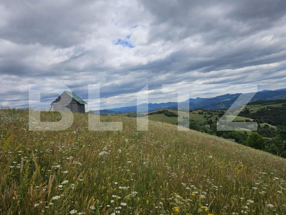 Teren de vânzare Campeni - 184740TV | BLITZ Alba Iulia | Poza2