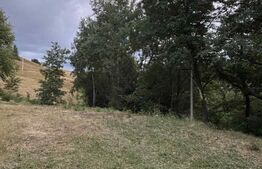 Teren intravilan de 1585 mp, Campeni