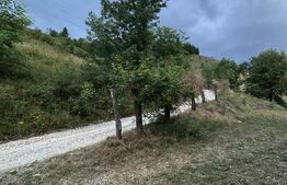 Teren intravilan de 1585 mp, Campeni