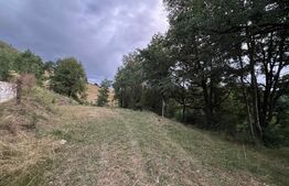 Teren intravilan de 1585 mp, Campeni