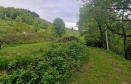 Teren intravilan de 1585 mp, Campeni