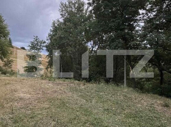 Teren de vânzare Campeni - 184741TV | BLITZ Alba Iulia | Poza3