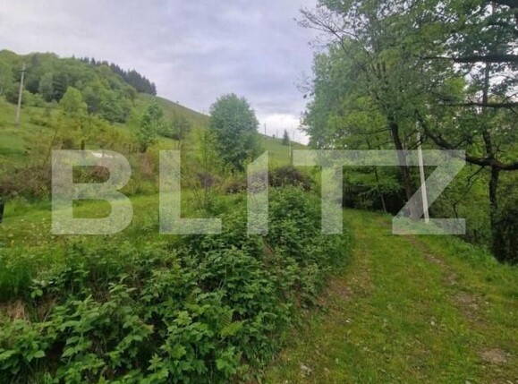 Teren de vânzare Campeni - 184741TV | BLITZ Alba Iulia | Poza5