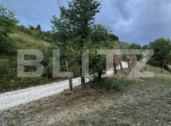 Teren de vânzare Campeni - 184741TV | BLITZ Alba Iulia | Poza5