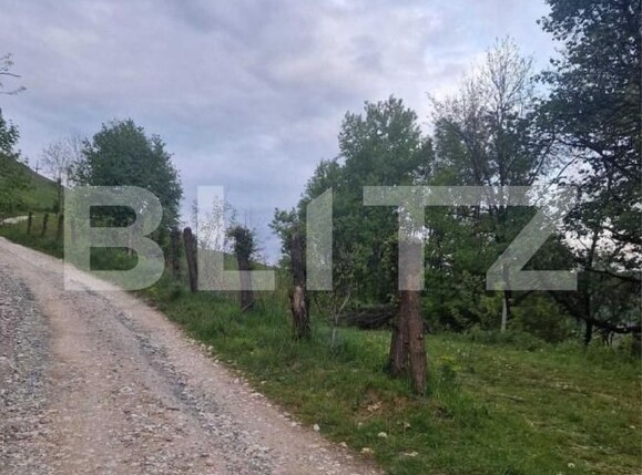 Teren de vânzare Campeni - 184741TV | BLITZ Alba Iulia | Poza2