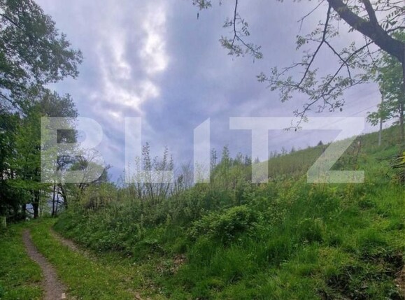 Teren de vânzare Campeni - 184741TV | BLITZ Alba Iulia | Poza4