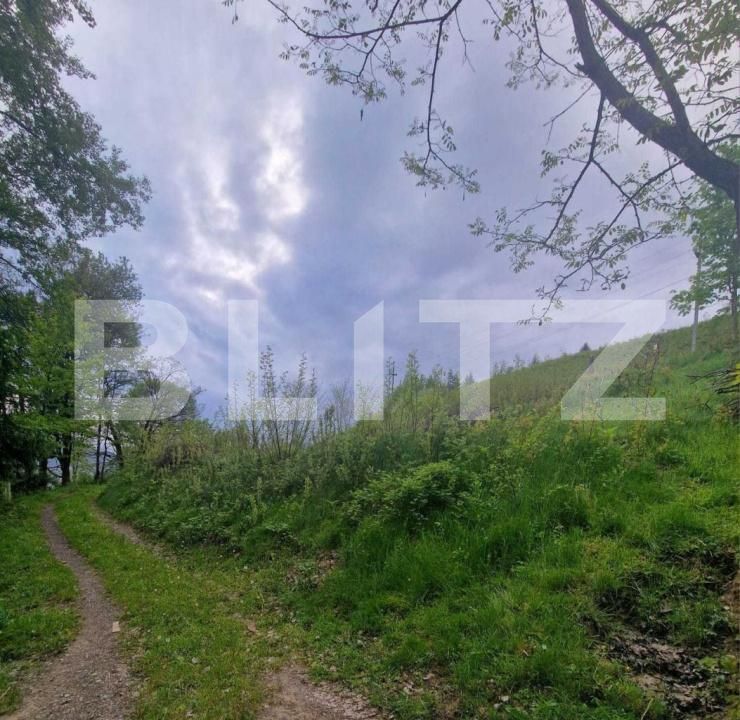 Teren de vânzare Campeni - 184741TV | BLITZ Alba Iulia | Poza6