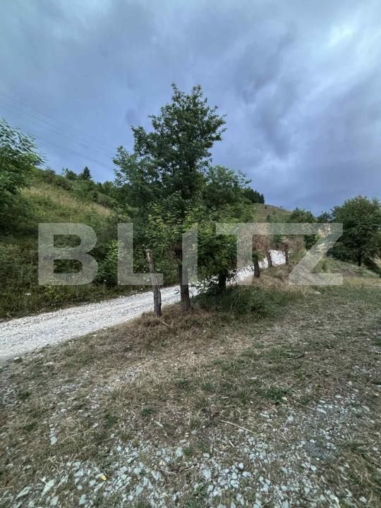 Teren de vânzare Campeni - 184741TV | BLITZ Alba Iulia | Poza5