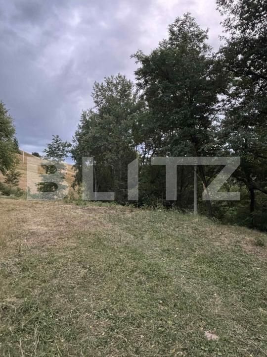 Teren de vânzare Campeni - 184741TV | BLITZ Alba Iulia | Poza3