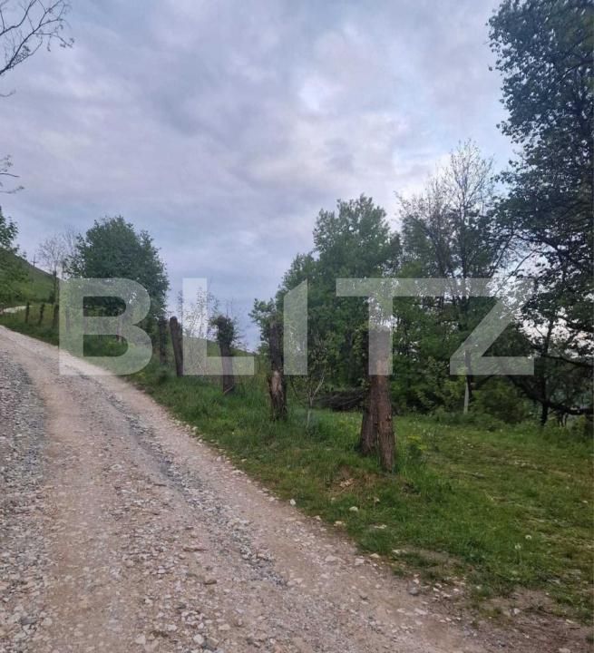 Teren de vânzare Campeni - 184741TV | BLITZ Alba Iulia | Poza6