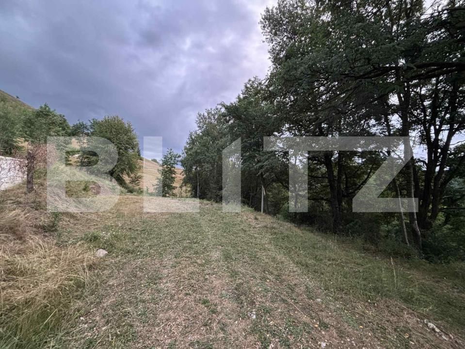 Teren de vânzare Campeni - 184741TV | BLITZ Alba Iulia | Poza4