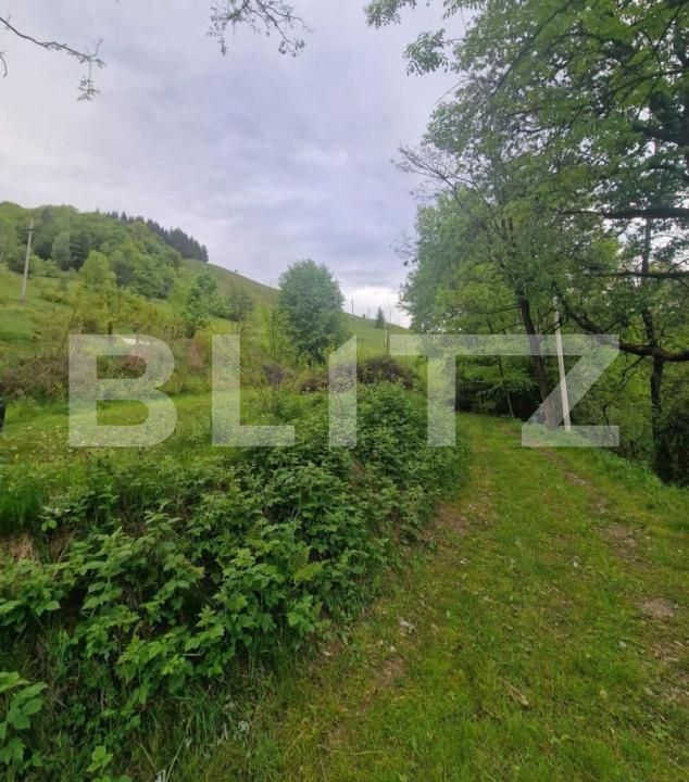 Teren de vânzare Campeni - 184741TV | BLITZ Alba Iulia | Poza2